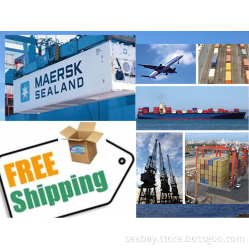 Shipping From China to Montreal, Canada